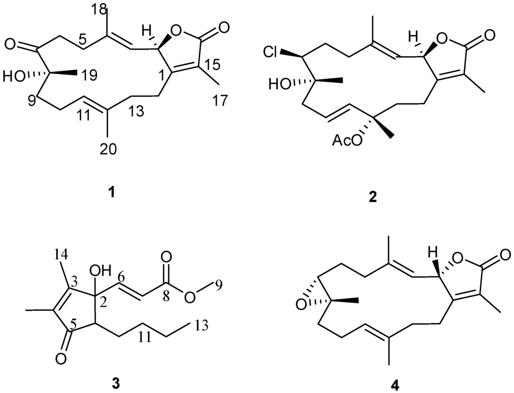 Marinedrugs 12 01977 g002 1024