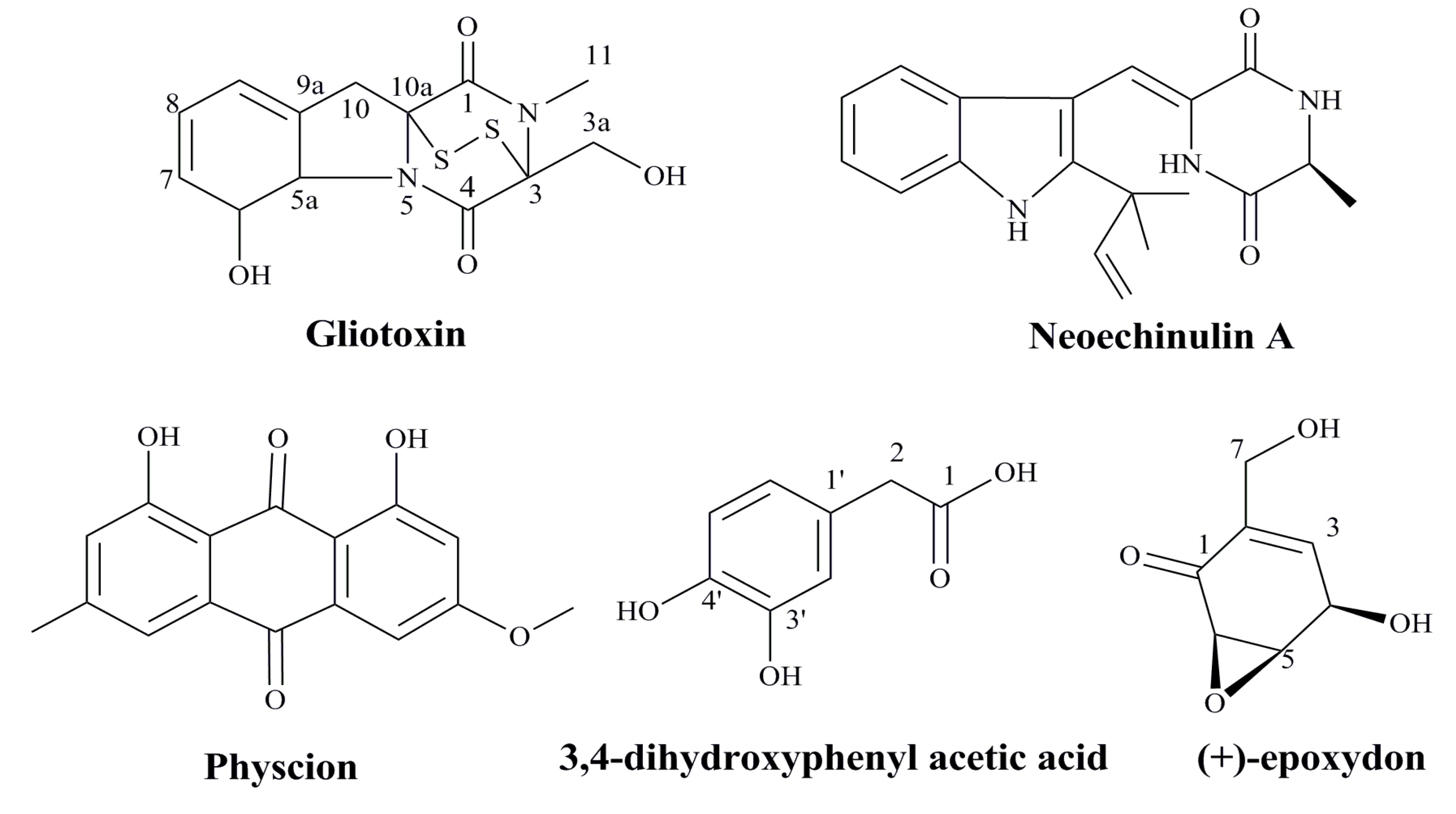 Marinedrugs 12 02019 g003