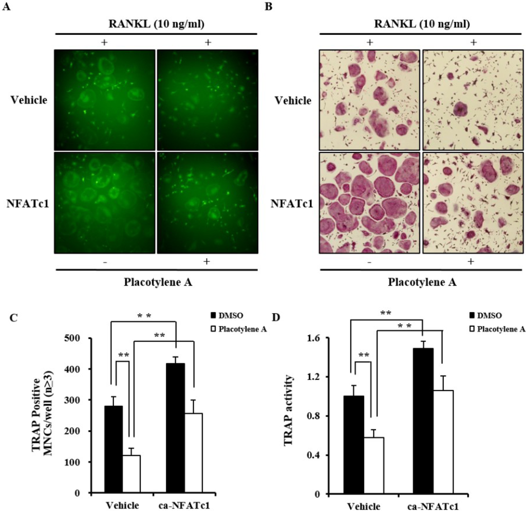 Marinedrugs 12 02054 g005 1024