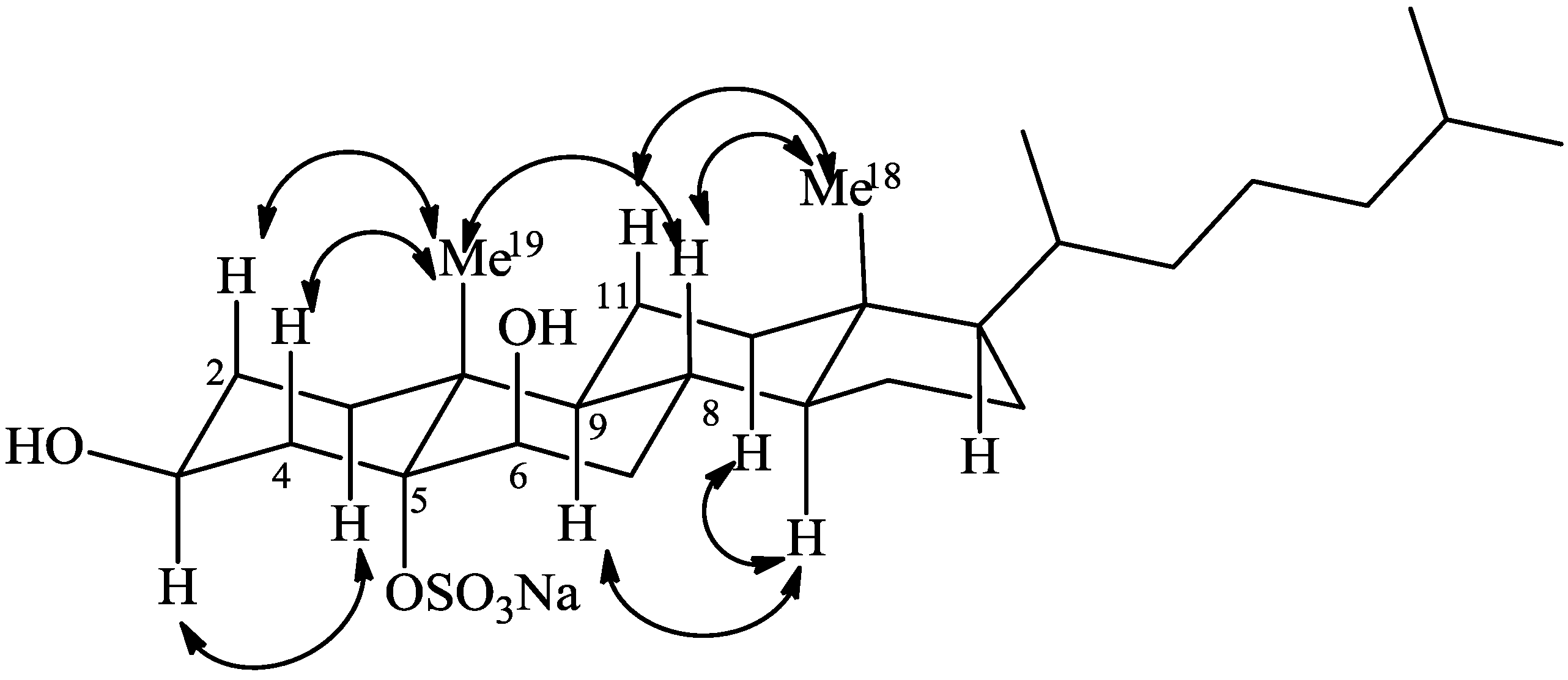 Marinedrugs 12 02066 g003