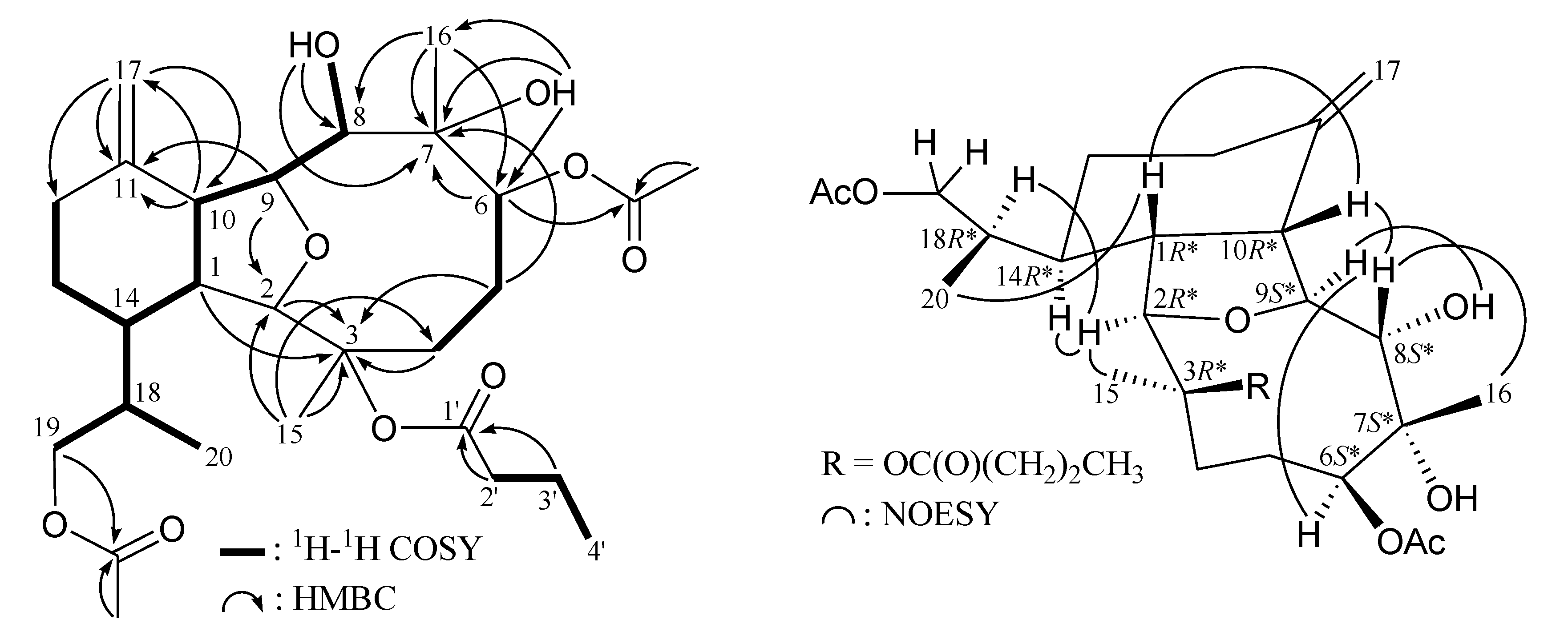 Marinedrugs 12 02144 g001