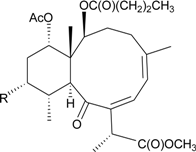 Marinedrugs 12 02164 i001
