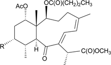 Marinedrugs 12 02164 i003
