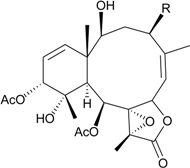 Marinedrugs 12 02164 i008