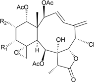 Marinedrugs 12 02164 i013