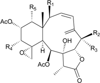 Marinedrugs 12 02164 i014