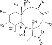 Marinedrugs 12 02164 i019