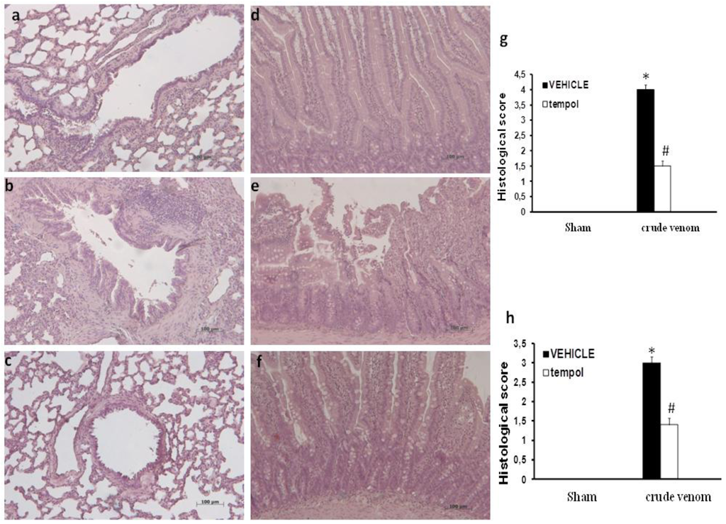 Marinedrugs 12 02182 g003 1024