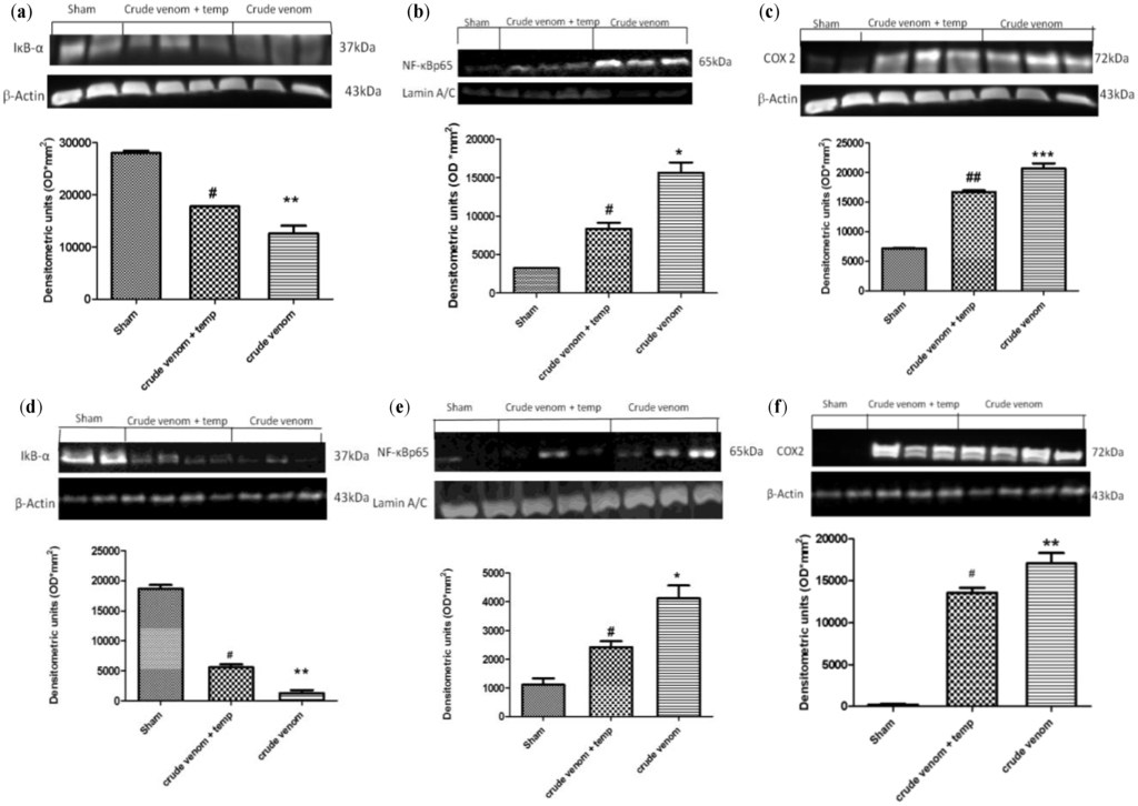Marinedrugs 12 02182 g004 1024