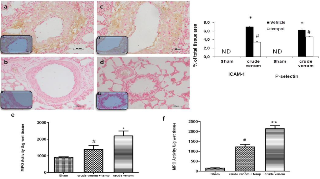 Marinedrugs 12 02182 g005 1024