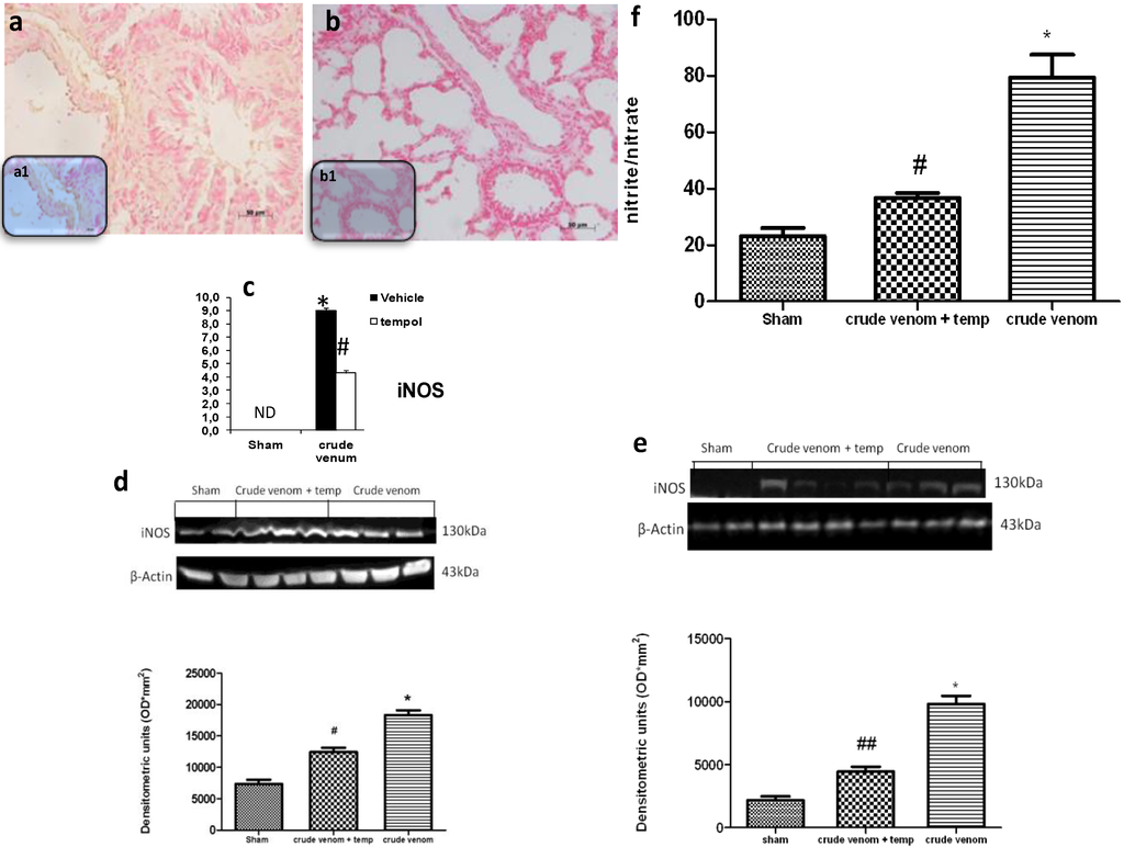 Marinedrugs 12 02182 g006 1024