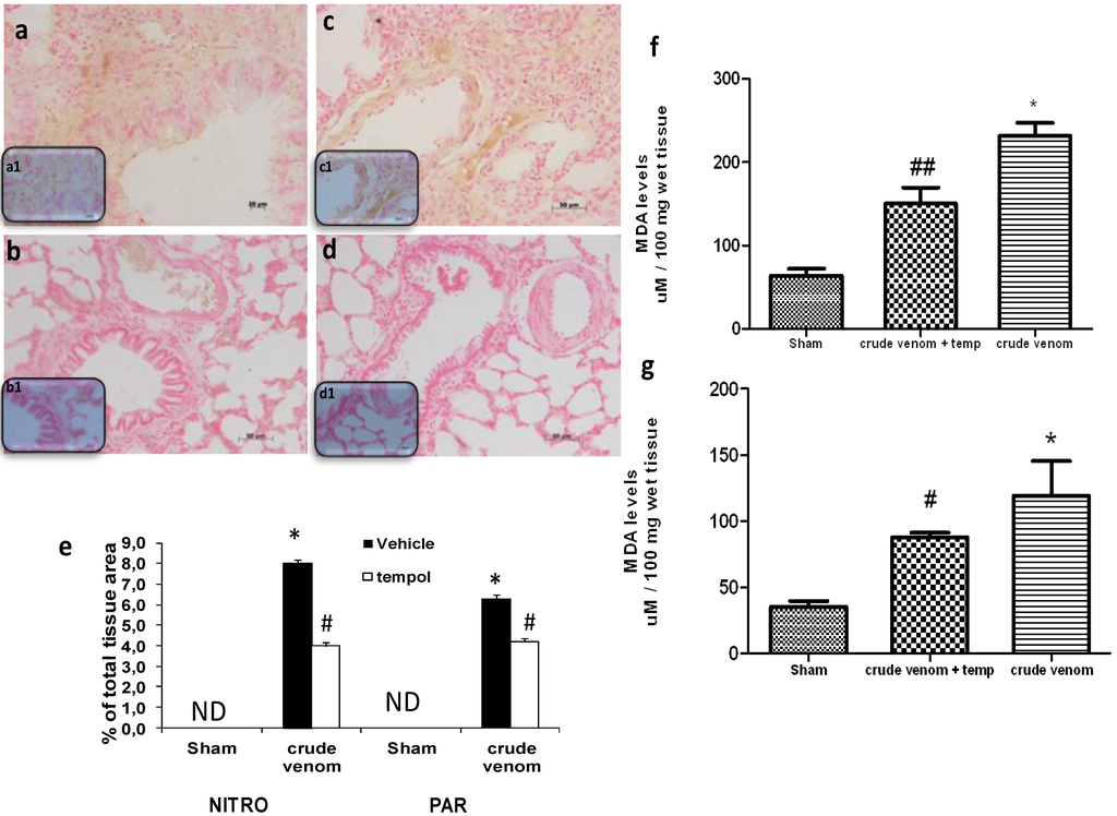 Marinedrugs 12 02182 g007 1024