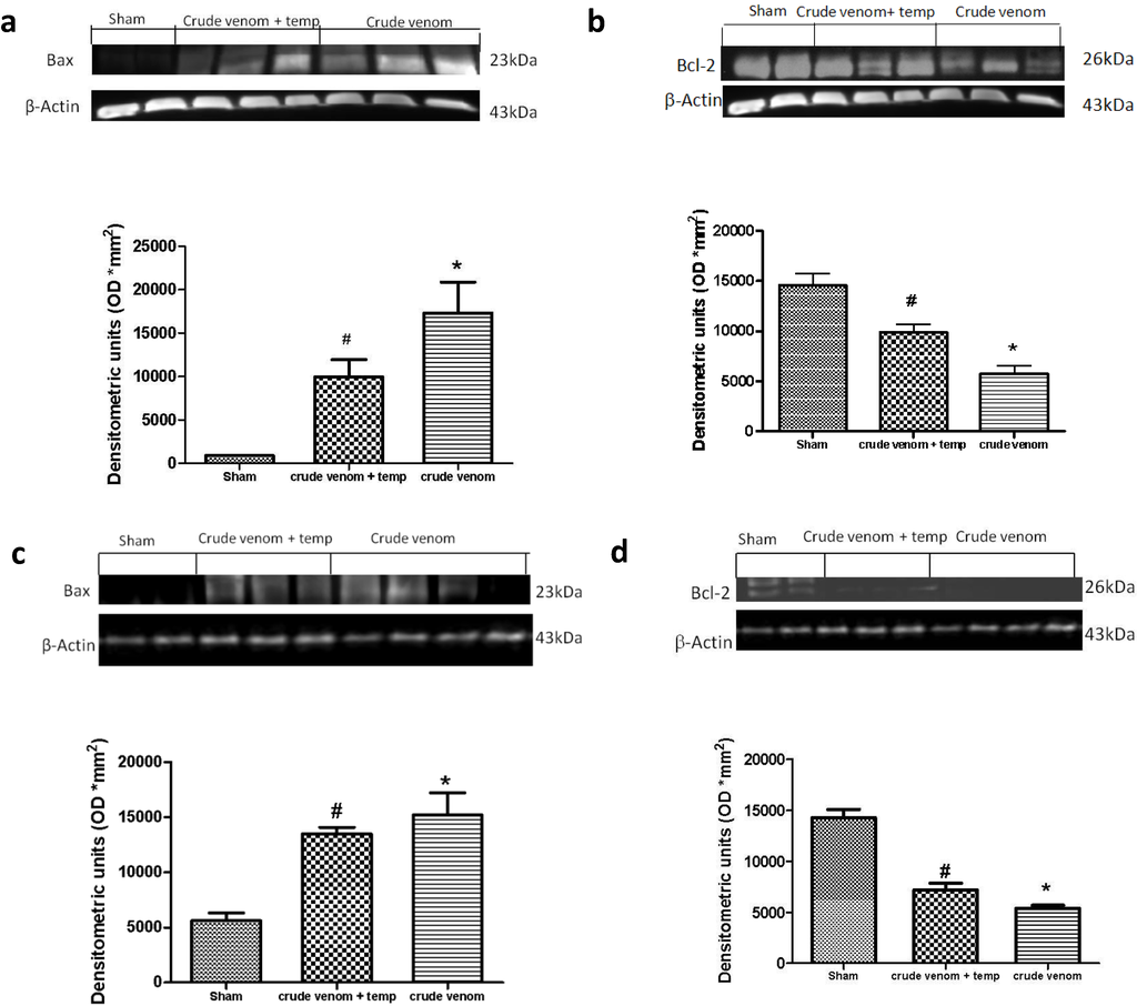 Marinedrugs 12 02182 g008 1024