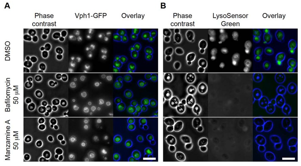 Marinedrugs 12 02305 g002 550