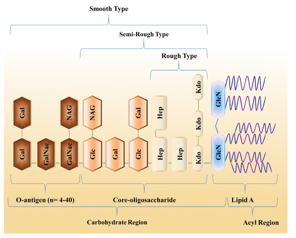 Marinedrugs 12 02485 g001 1024