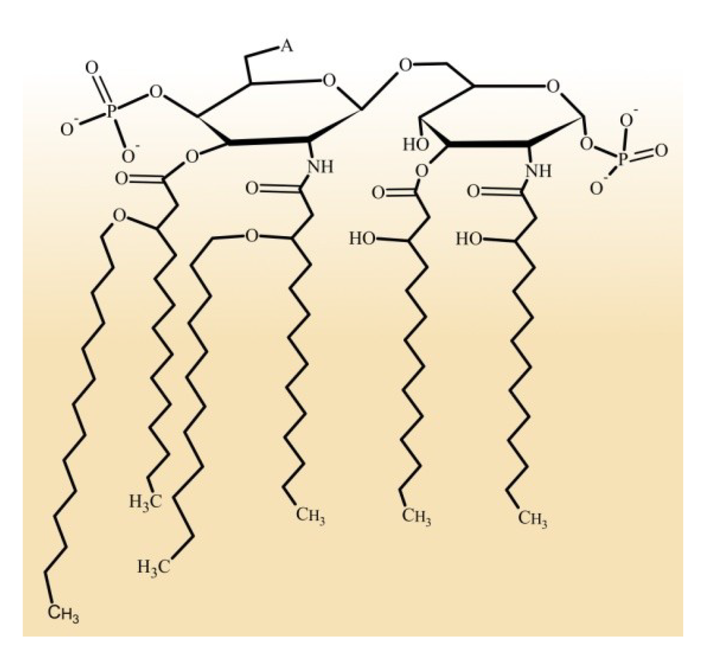 Marinedrugs 12 02485 g002 1024