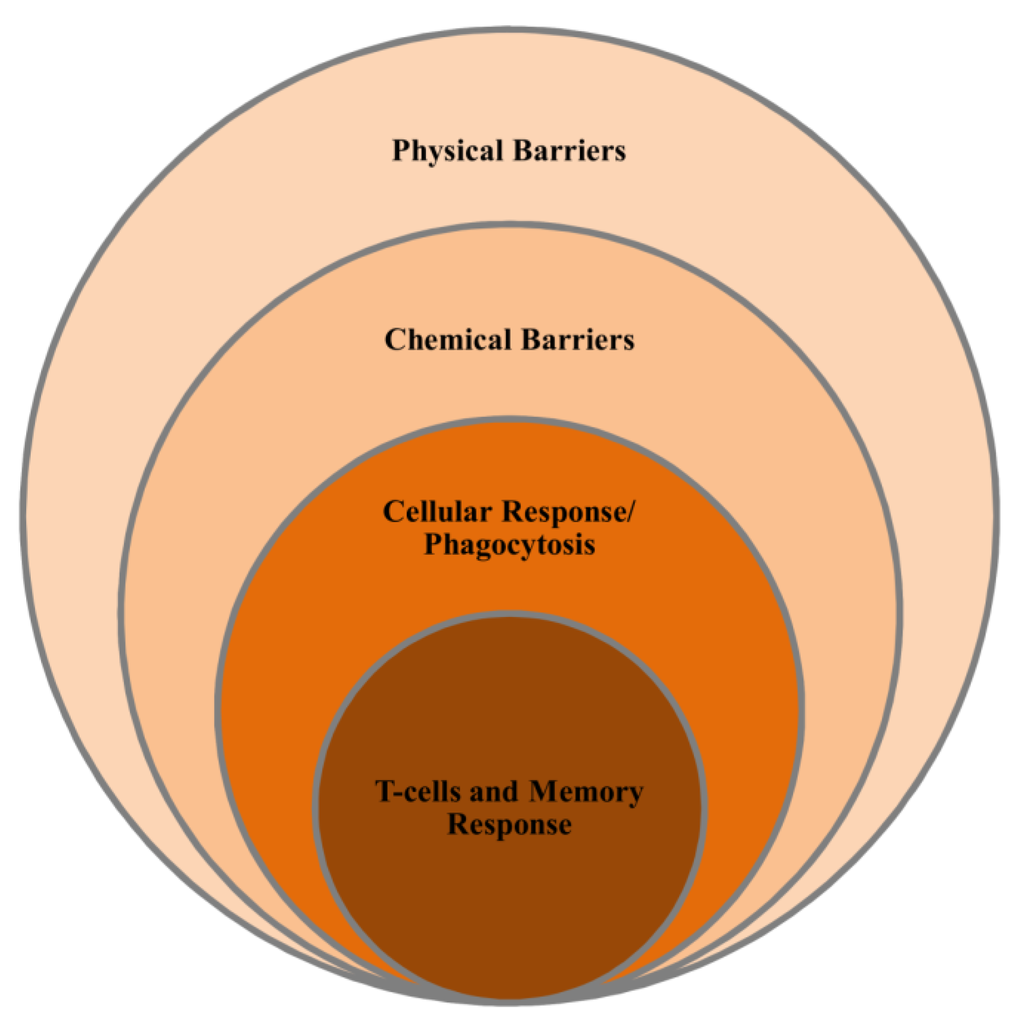 Marinedrugs 12 02485 g003 1024