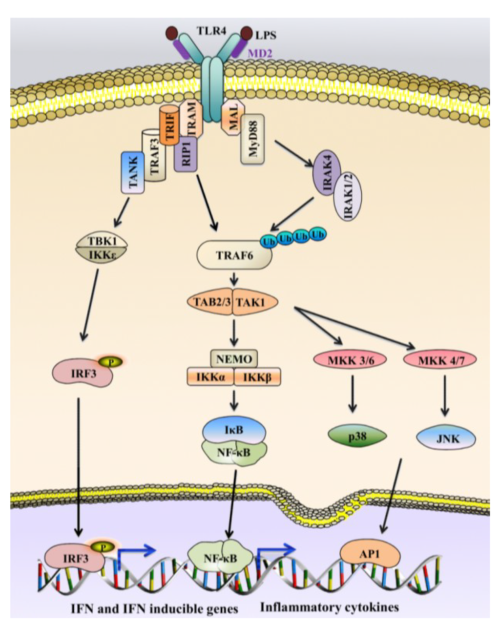 Marinedrugs 12 02485 g010 1024