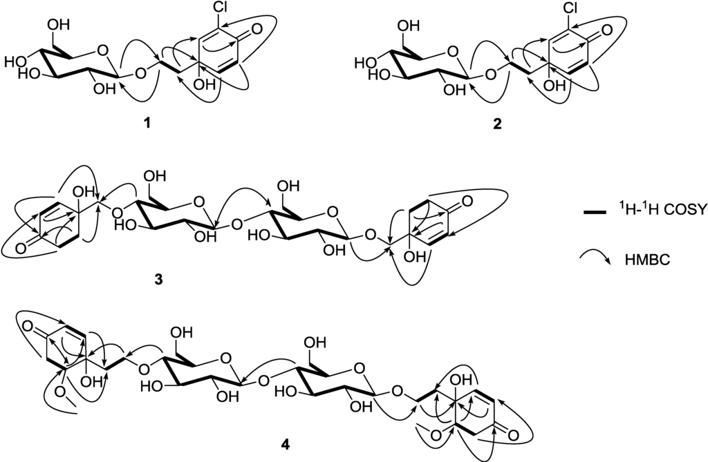 Marinedrugs 12 02515 g002 1024