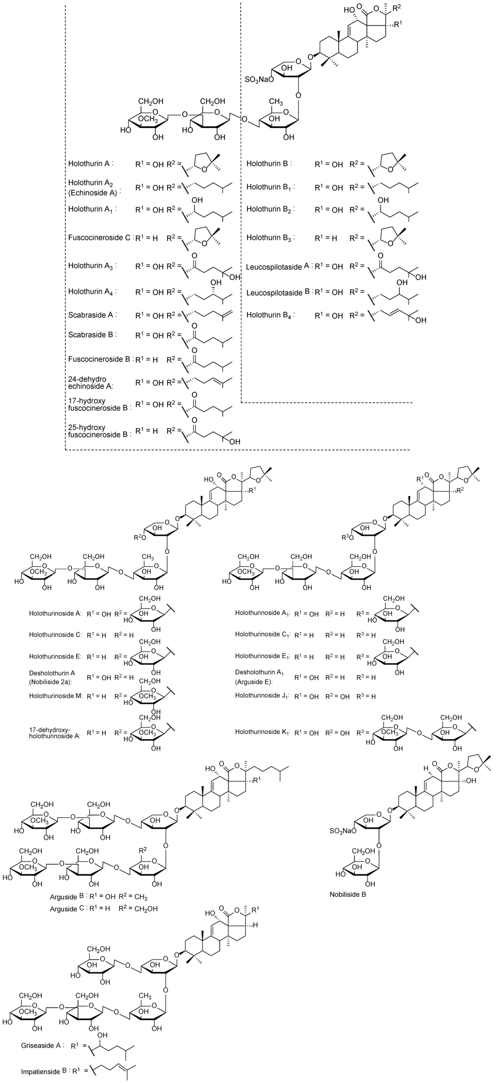 Marinedrugs 12 02633 g009 1024