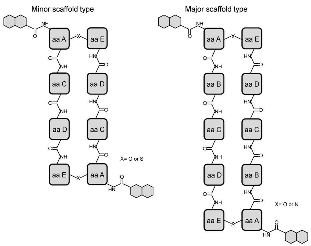 Marinedrugs 12 02668 g001 1024