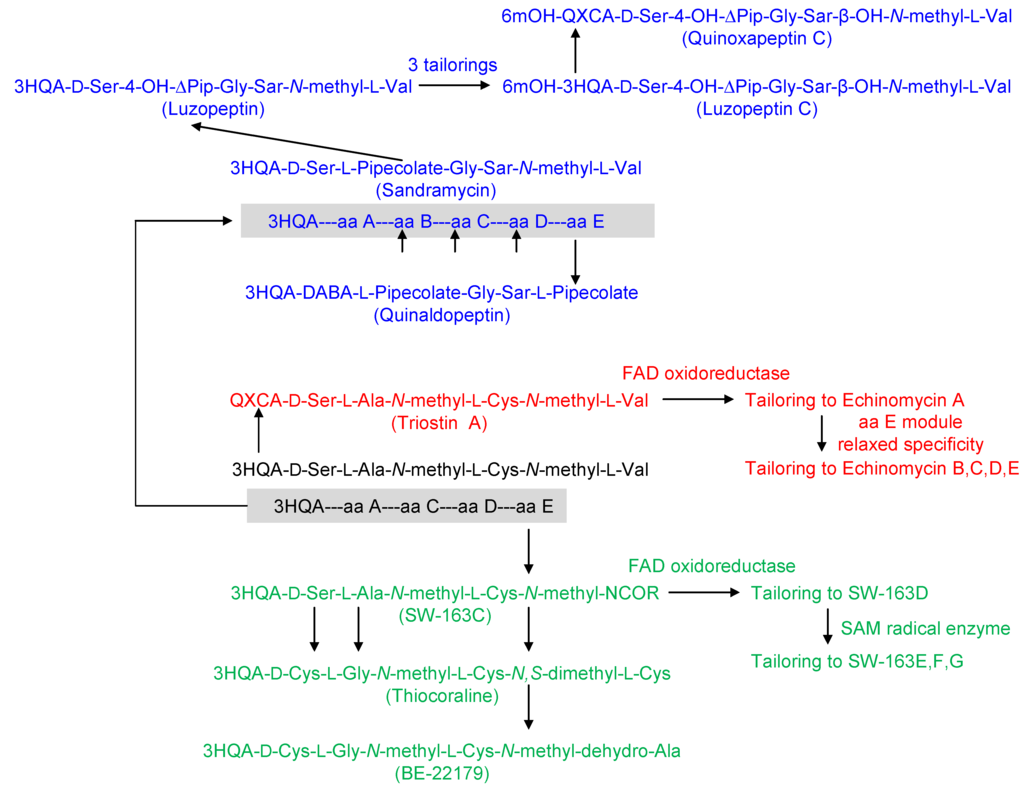 Marinedrugs 12 02668 g002 1024