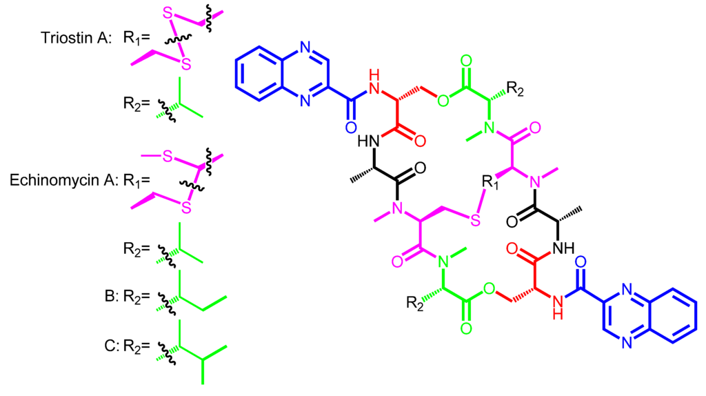 Marinedrugs 12 02668 g005 1024