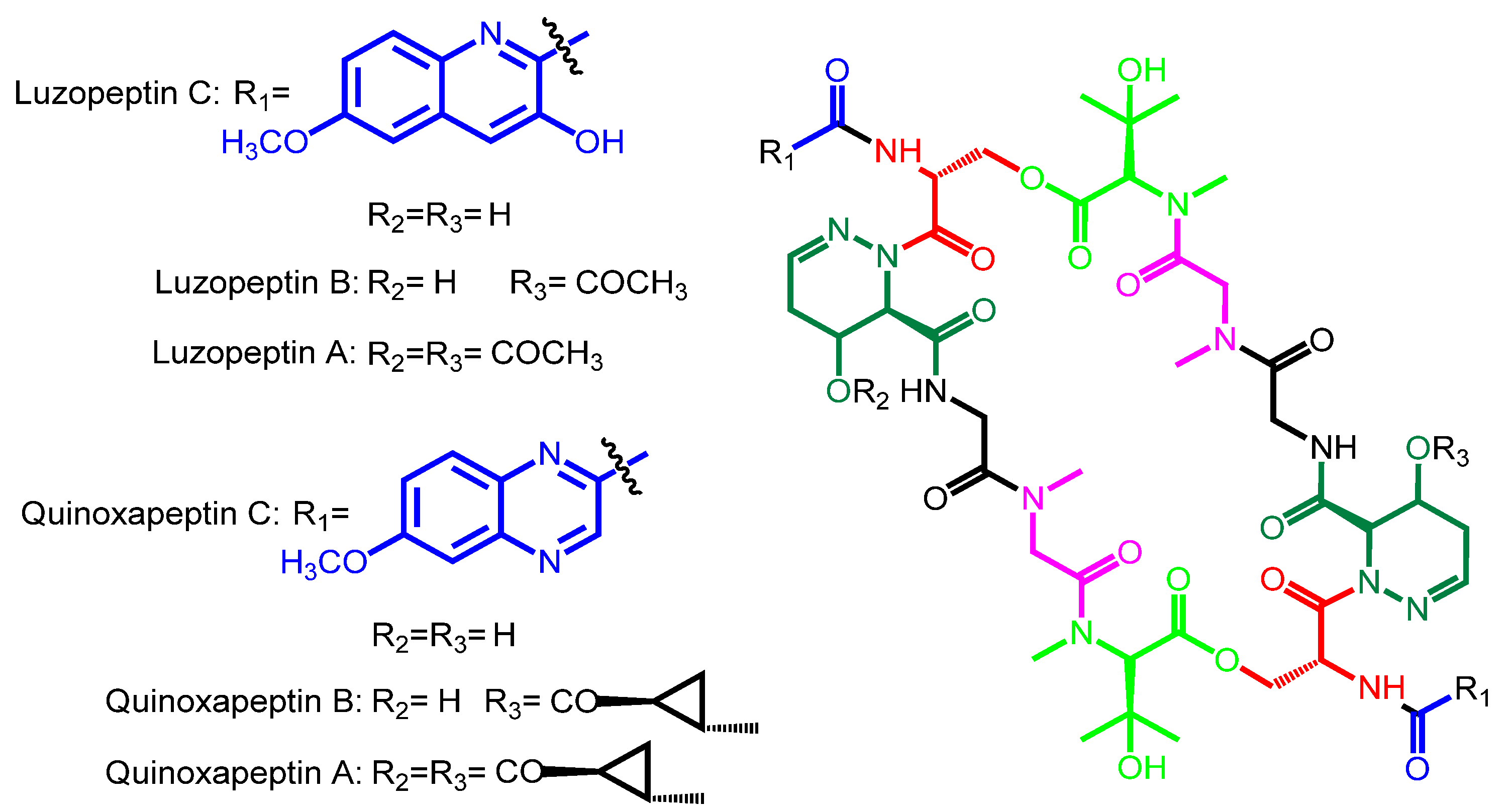 Marinedrugs 12 02668 g006