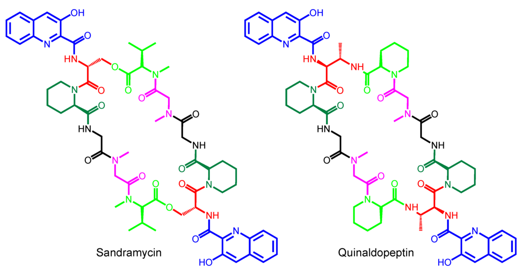 Marinedrugs 12 02668 g008 1024