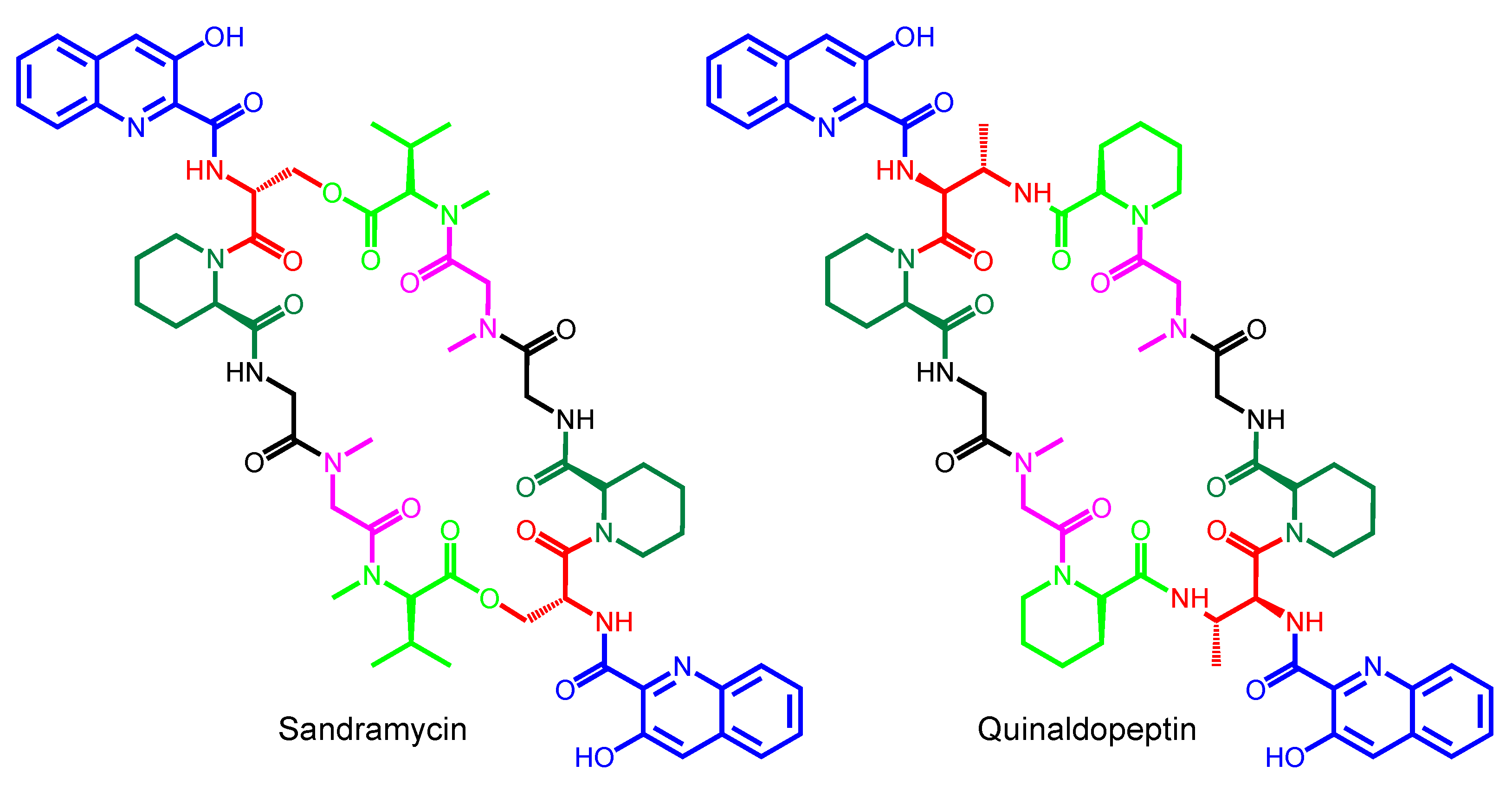 Marinedrugs 12 02668 g008