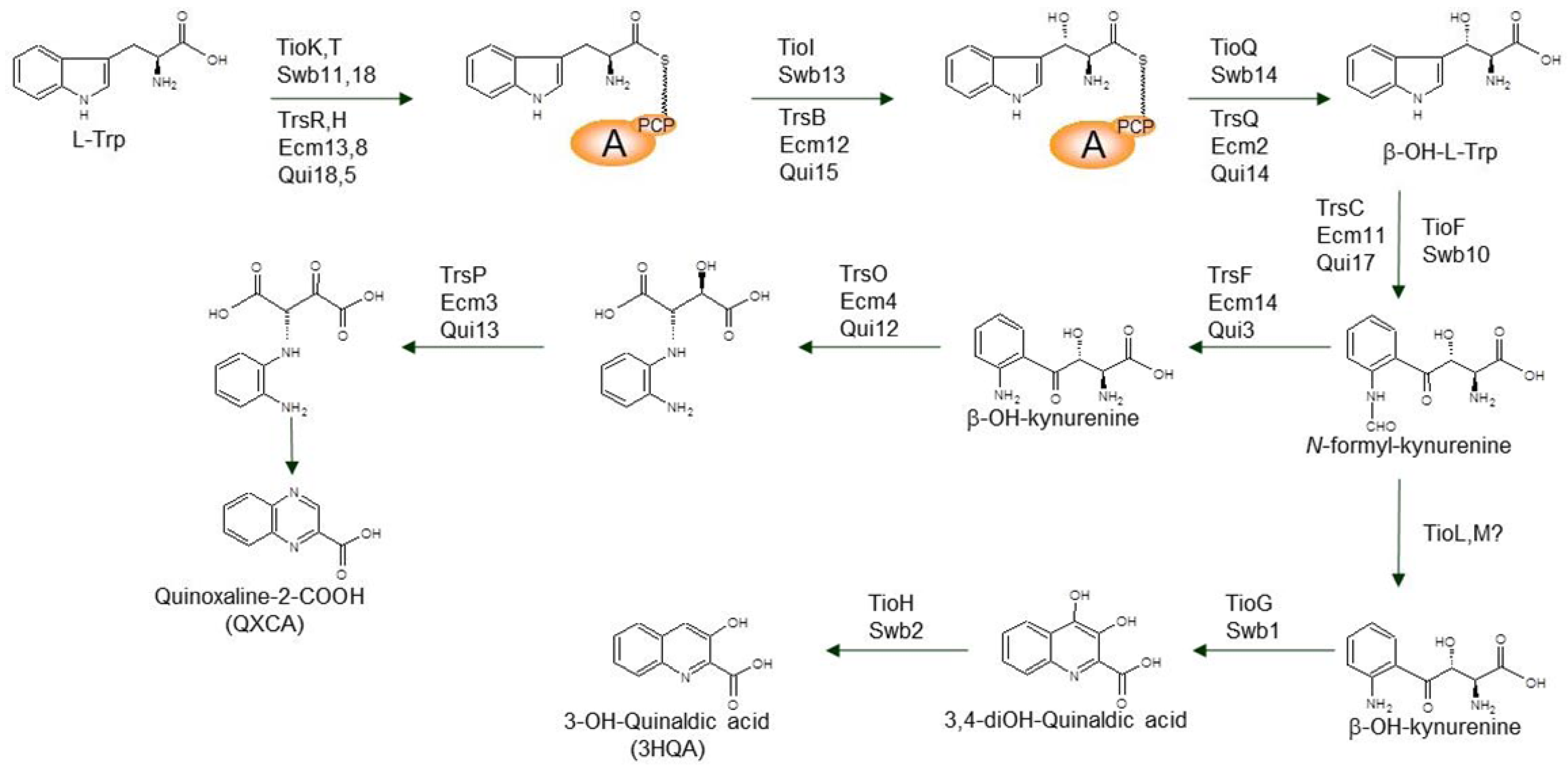 Marinedrugs 12 02668 g010