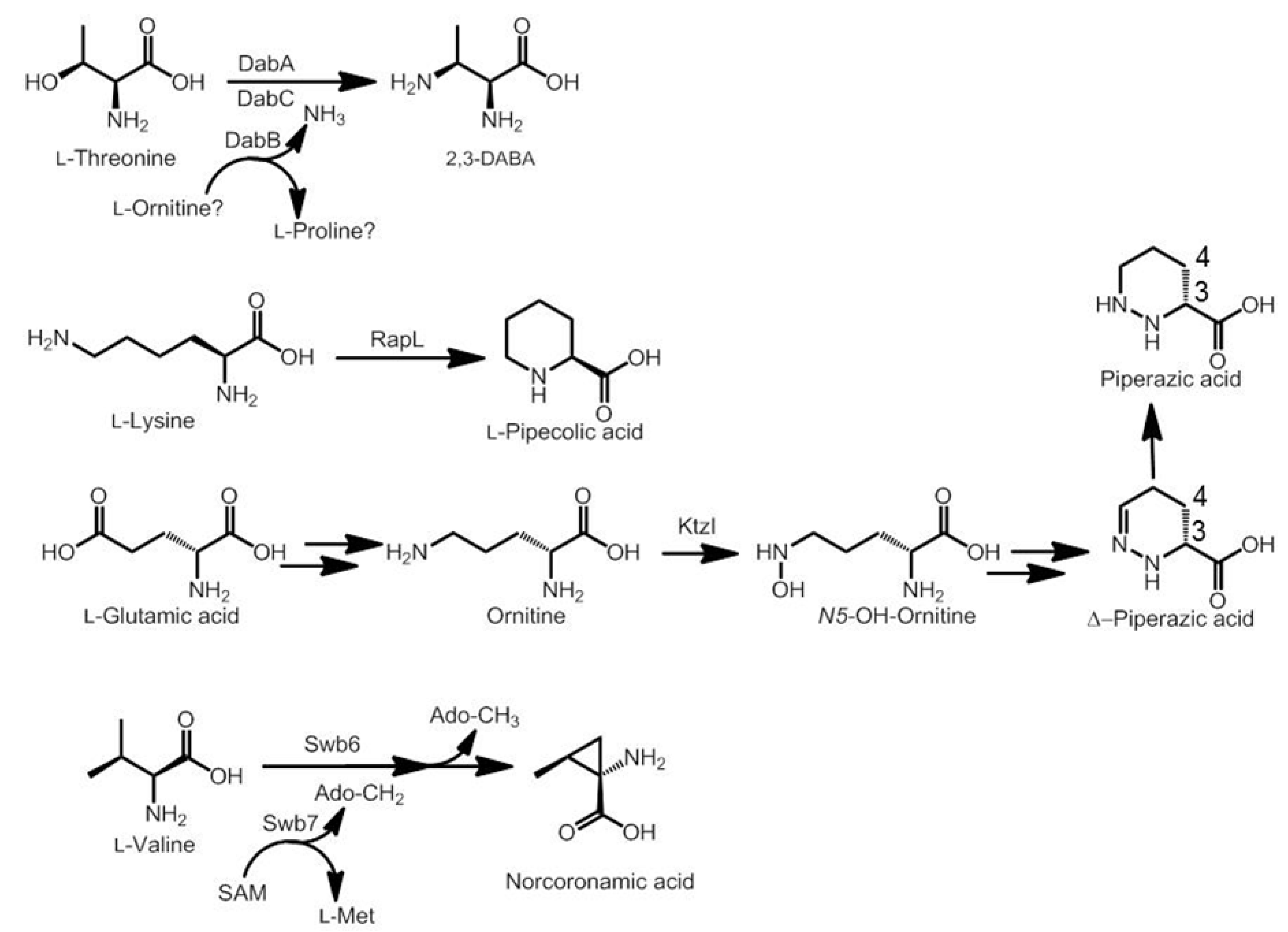 Marinedrugs 12 02668 g011