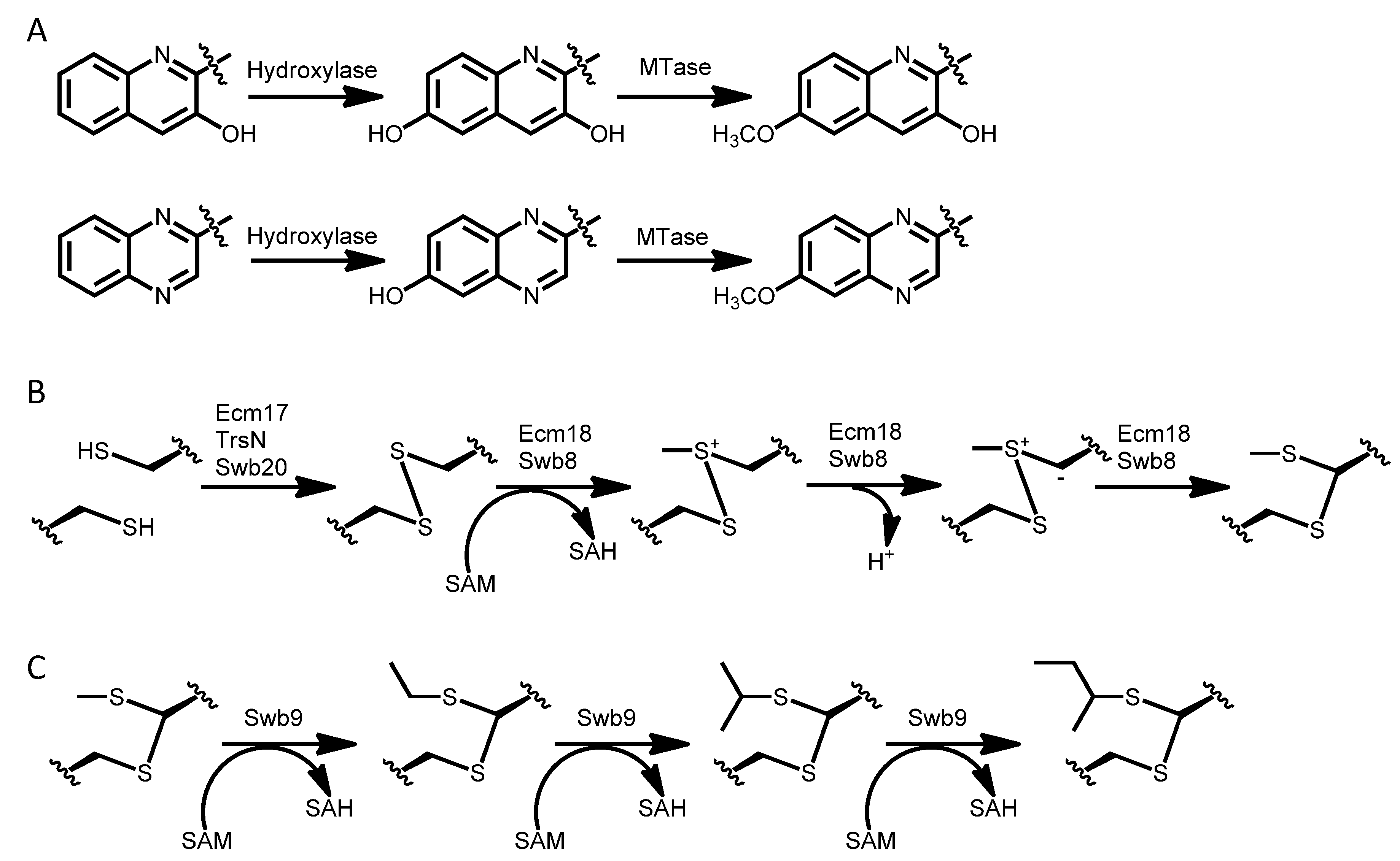 Marinedrugs 12 02668 g012