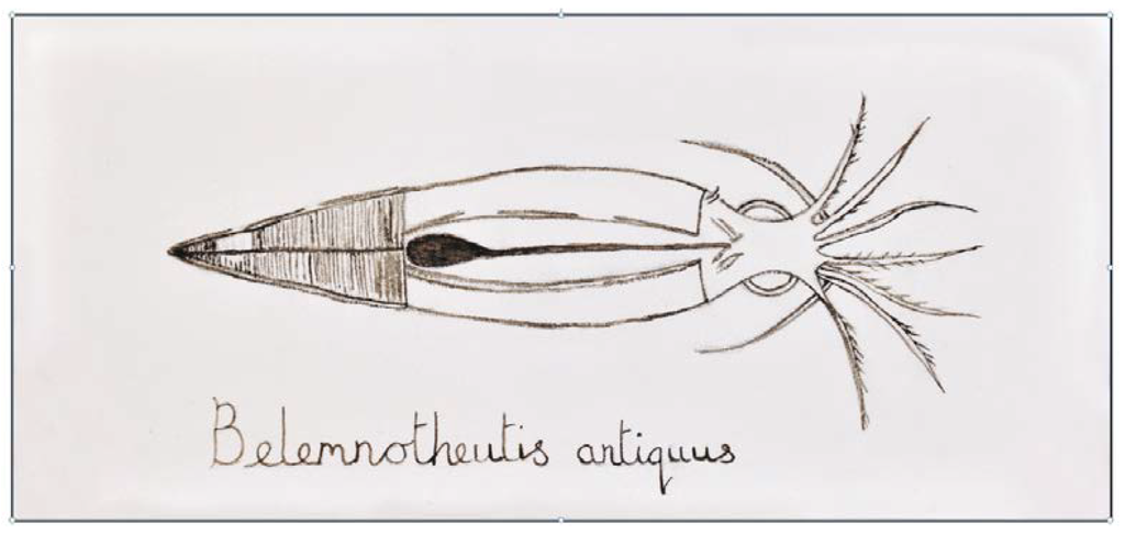 Marinedrugs 12 02700 g006 1024