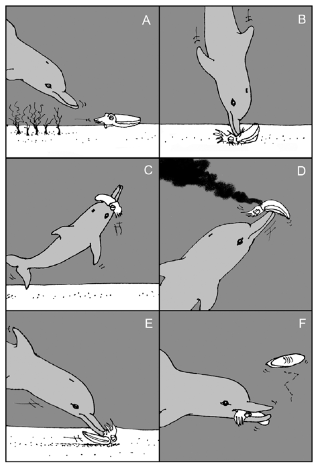 Marinedrugs 12 02700 g008 1024