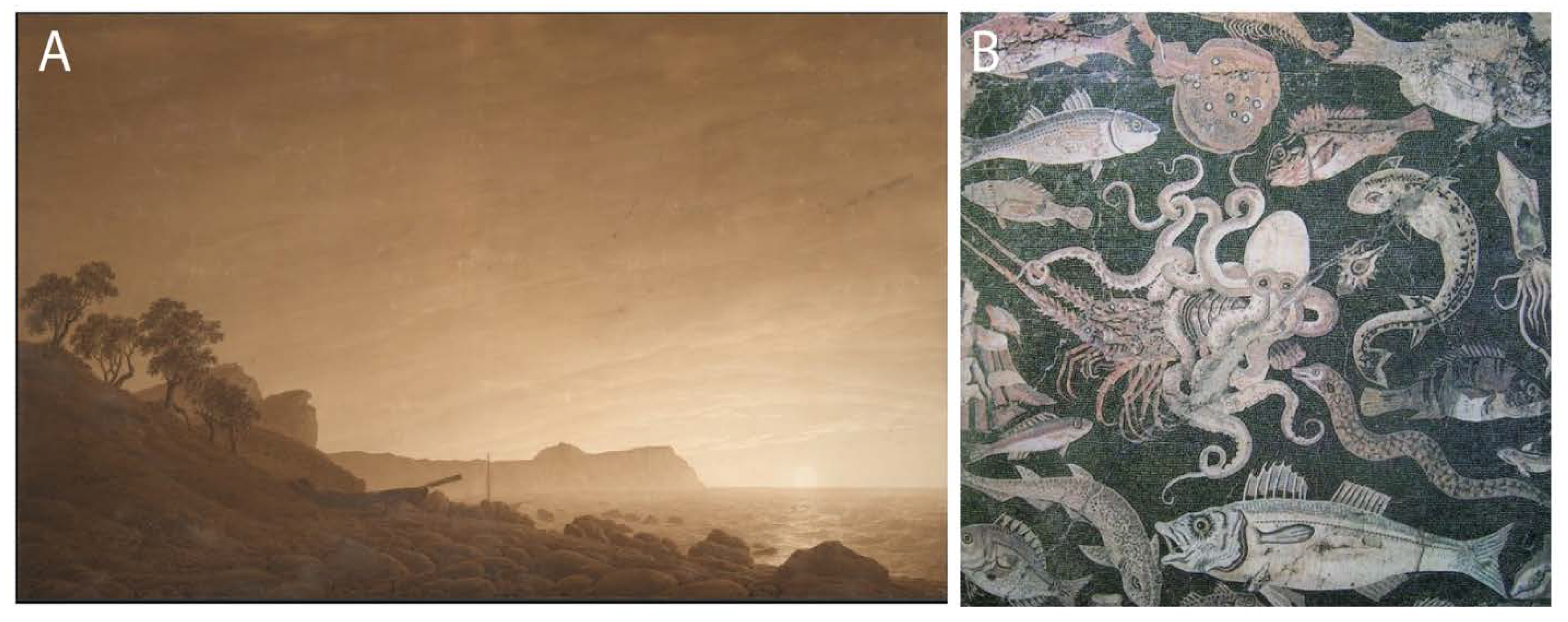 Marinedrugs 12 02700 g009