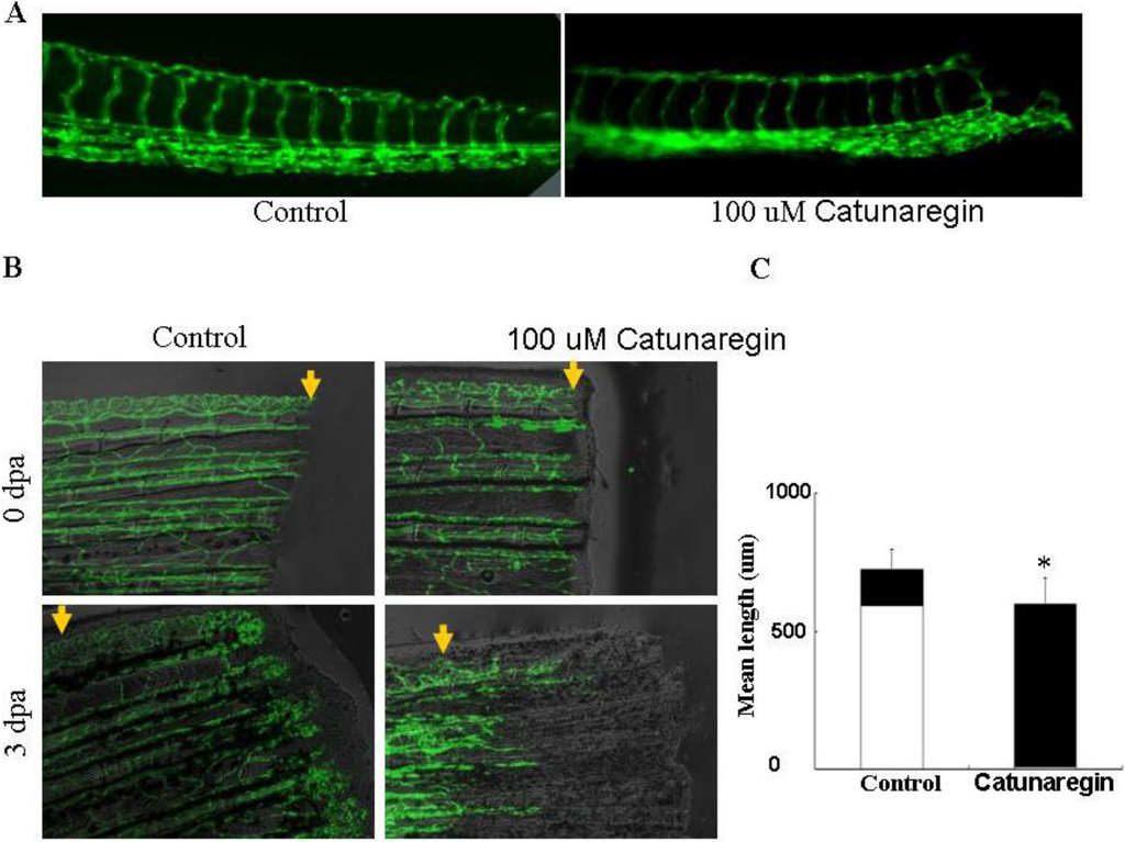Marinedrugs 12 02790 g005 1024