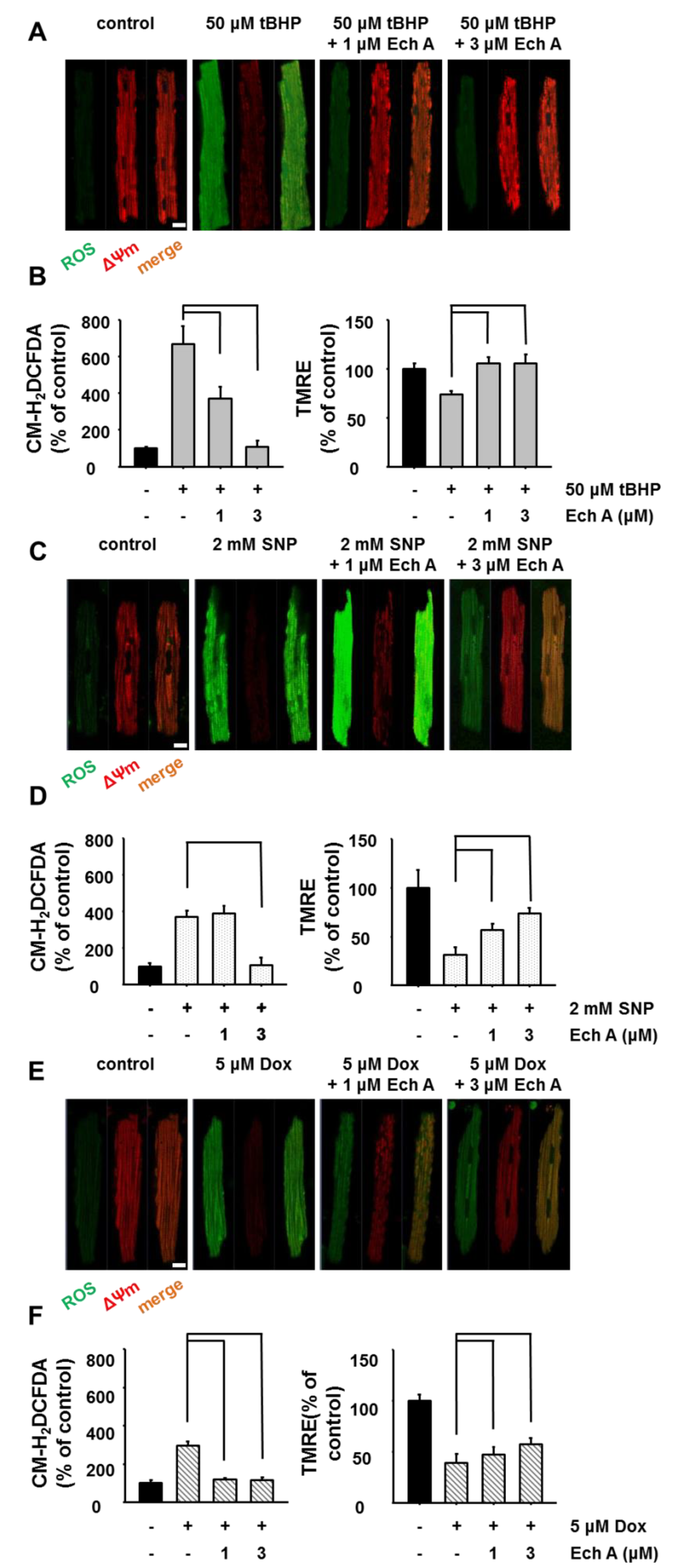 Marinedrugs 12 02922 g004 1024