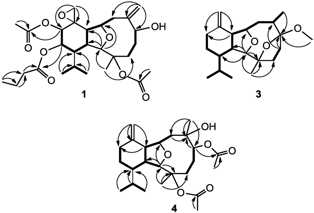 Marinedrugs 12 03060 g001 1024