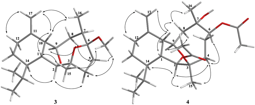 Marinedrugs 12 03060 g003 1024