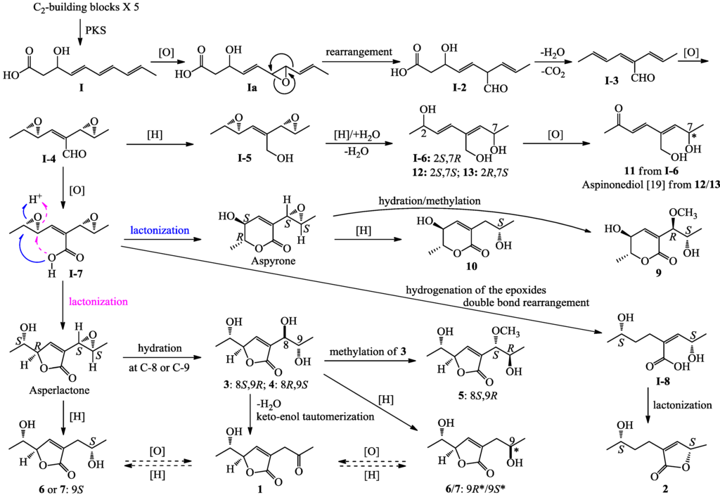 Marinedrugs 12 03116 g005 1024