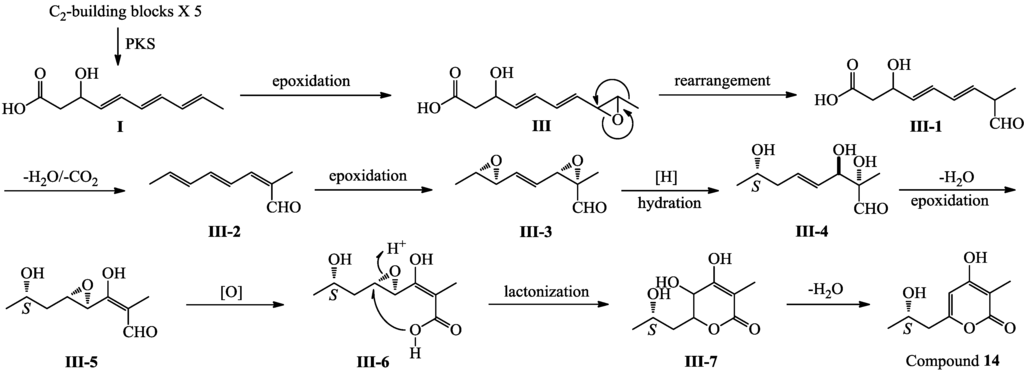 Marinedrugs 12 03116 g007 1024