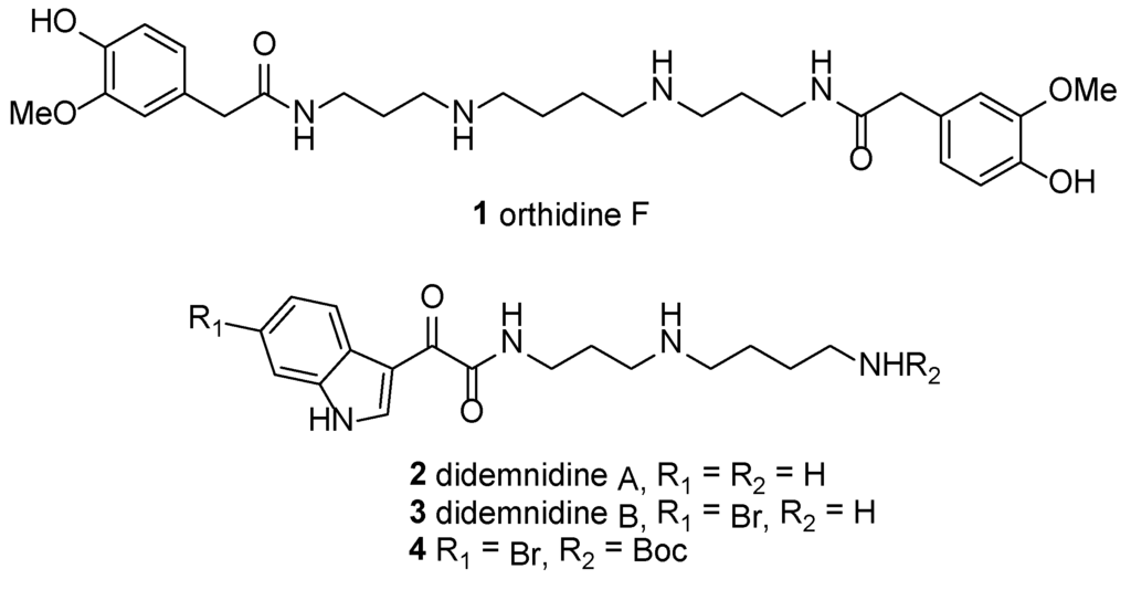 Marinedrugs 12 03138 g001 1024
