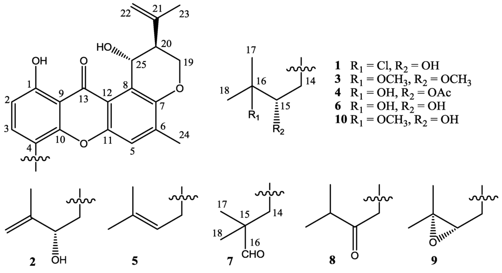 Marinedrugs 12 03190 g003 1024