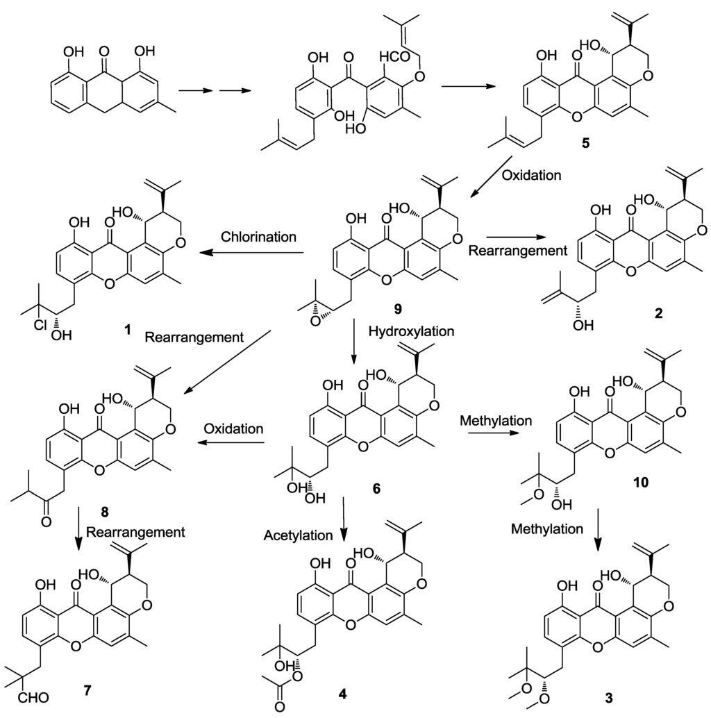 Marinedrugs 12 03190 g007 1024