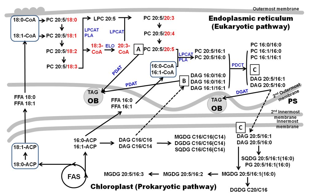 Marinedrugs 12 03218 g003 1024