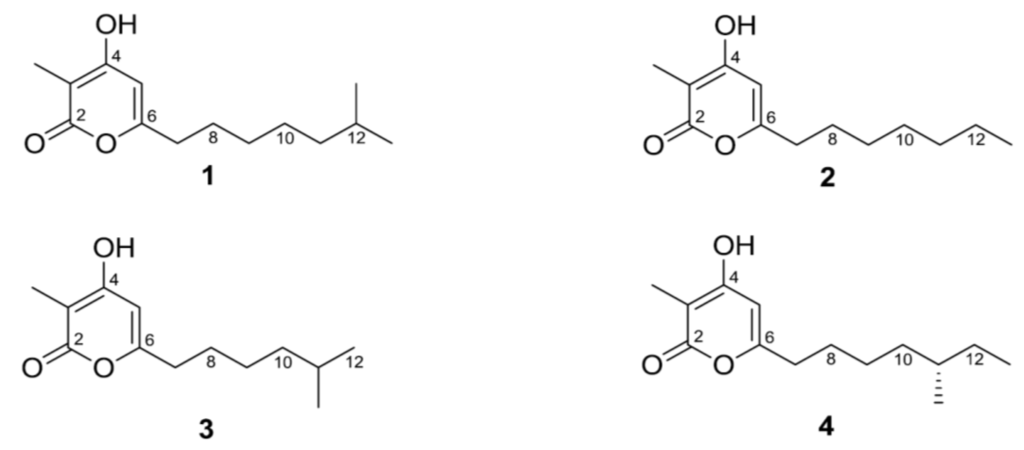 Marinedrugs 12 03283 g001 1024