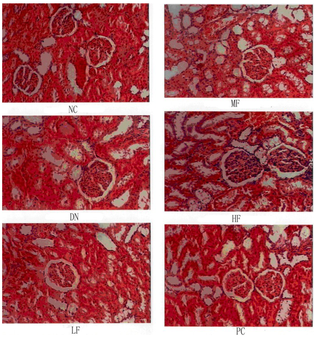 Marinedrugs 12 03292 g005 1024