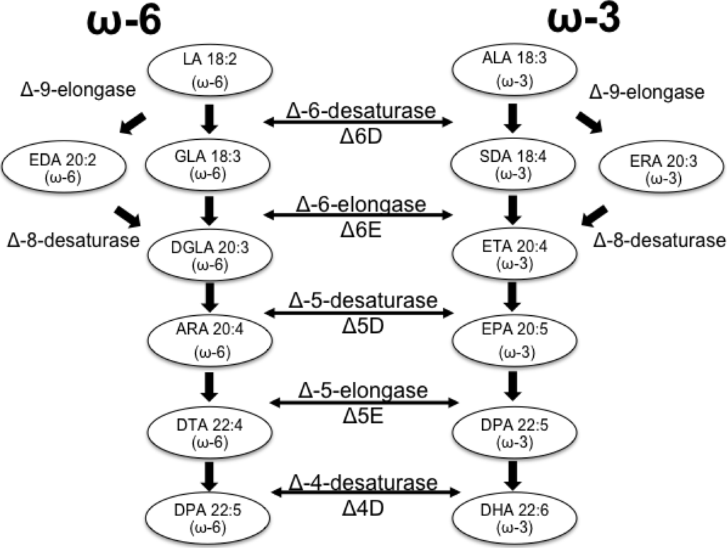 Marinedrugs 12 03381 g001 1024