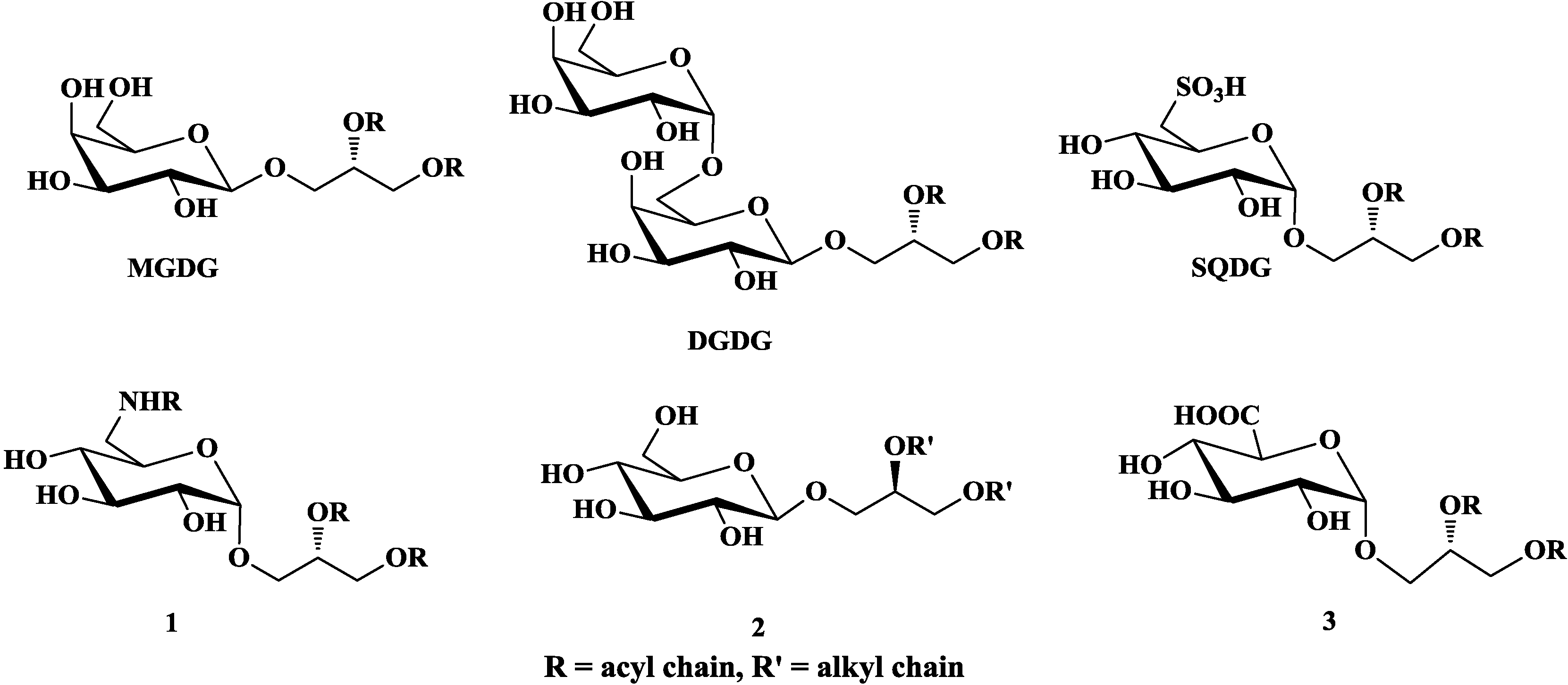 Marinedrugs 12 03634 g001